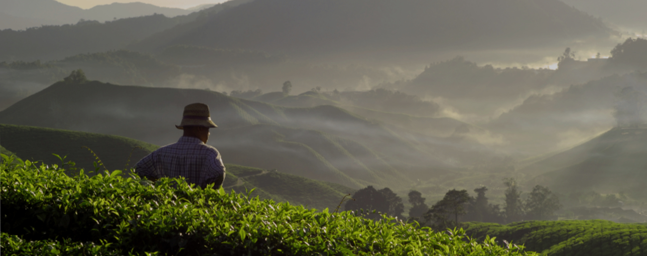 What’s next in driving effective due diligence practices through metals and mining supply chains? _1288x511