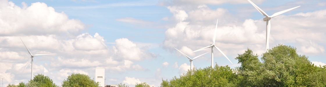 JIP optimal wind farm operation