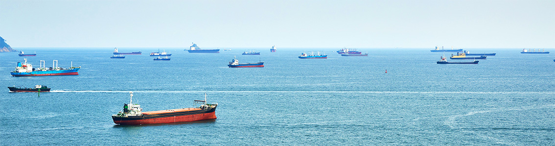 DNV GL - Vessel lay-up options