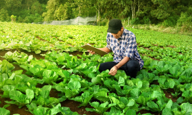 LEAF Marque certification