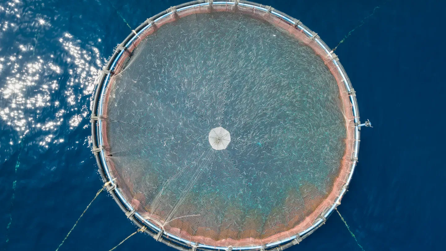 Offshore aquaculture cage monitored for ocean dynamics and environmental modelling