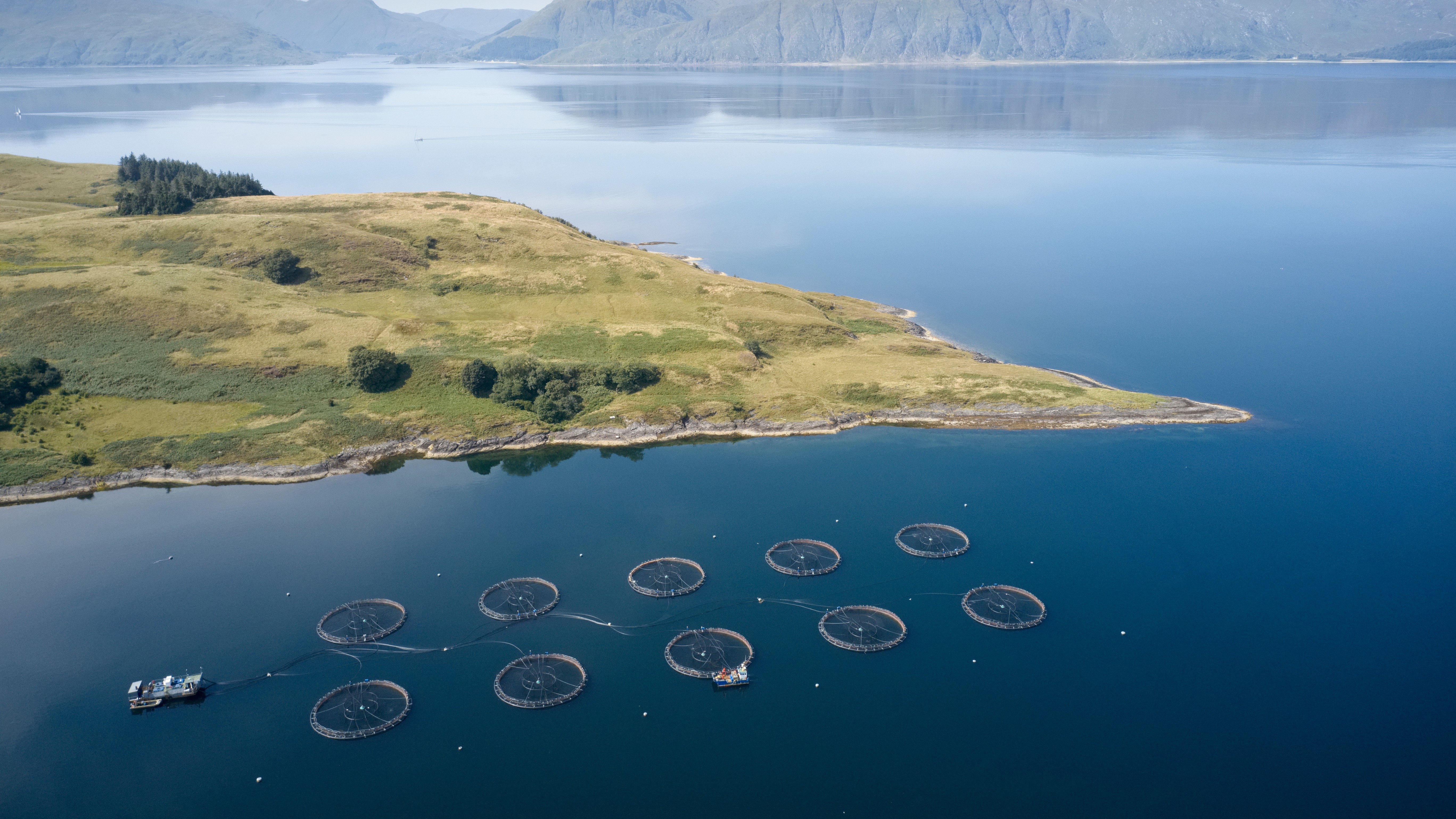 Marine aquaculture pens beneath mountains and coastal habitat