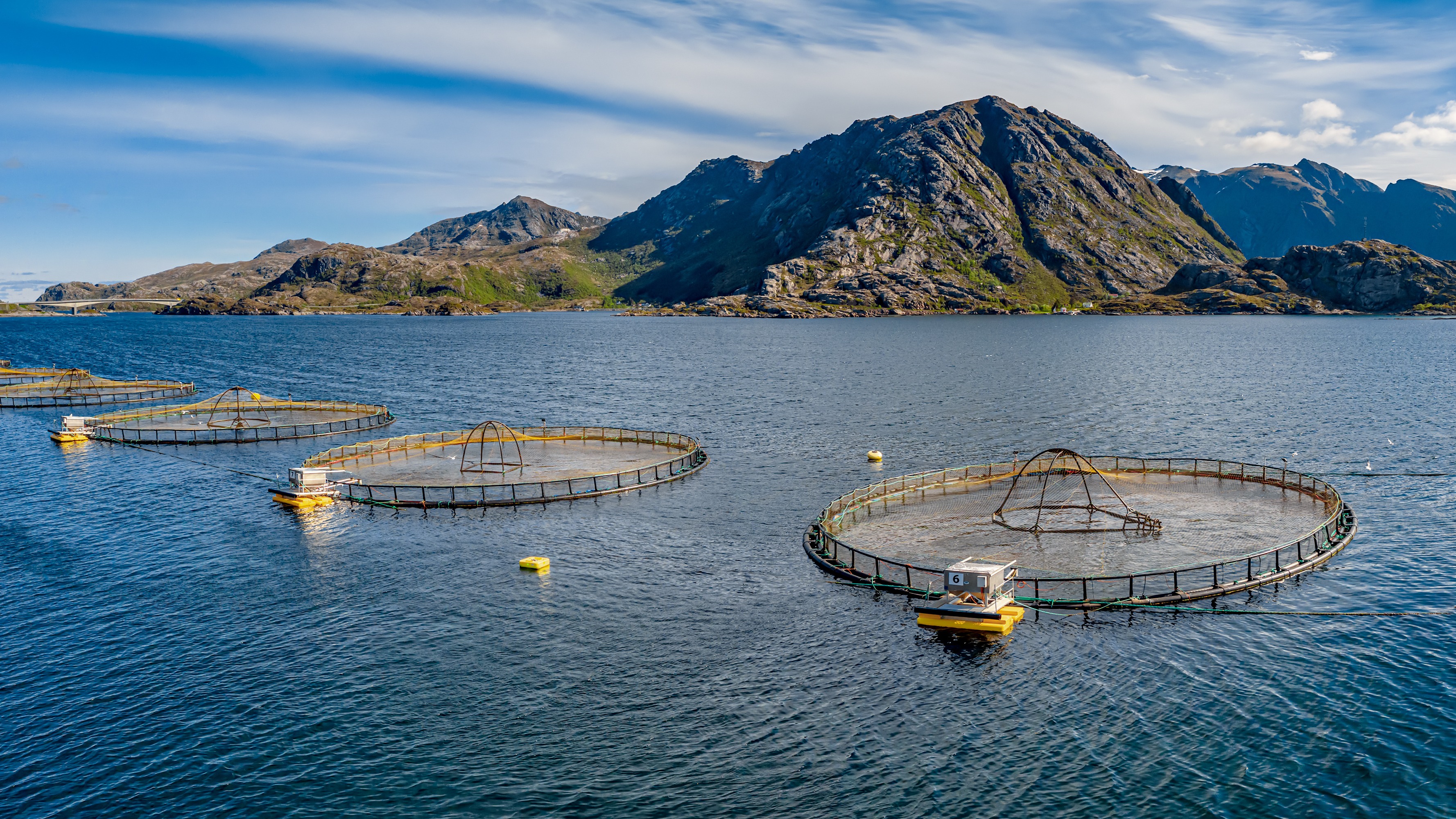 Aquaculture marine pens with mountains during environmental monitoring