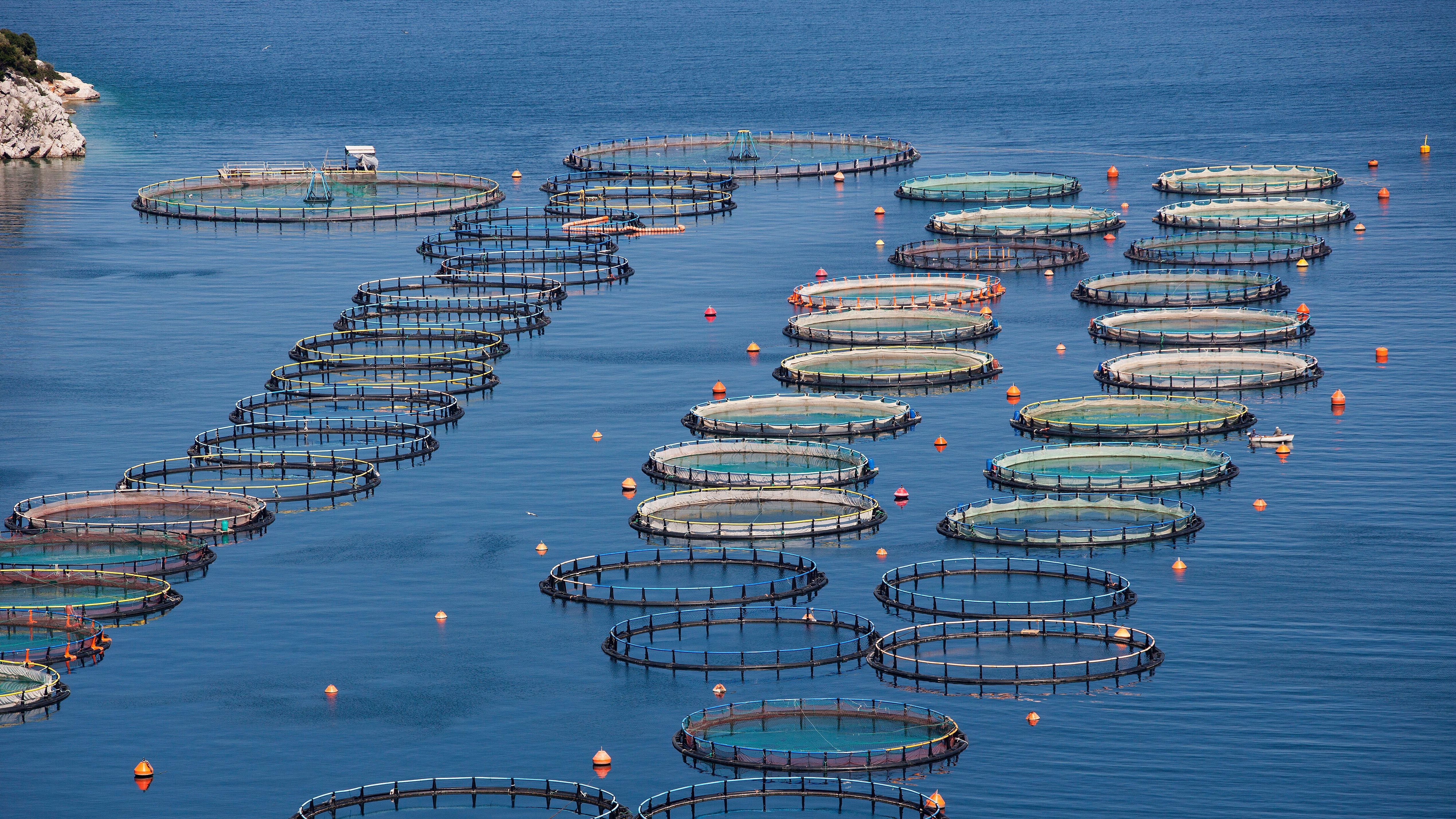 Offshore aquaculture cages demonstrating emerging technologies for closed and semi-closed systems