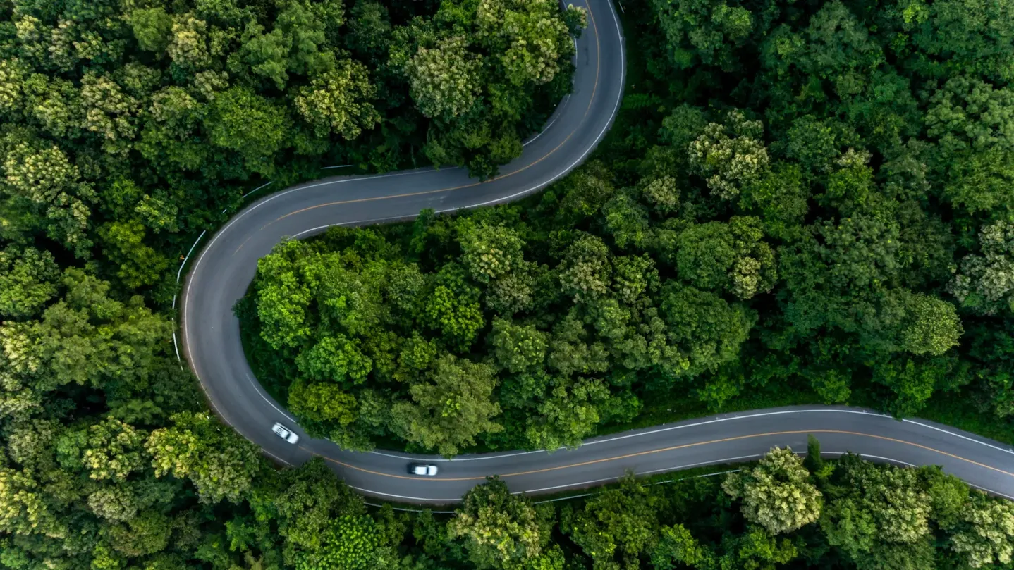A curved road through a forest symbolizing continuous improvement and long-term automotive reliability