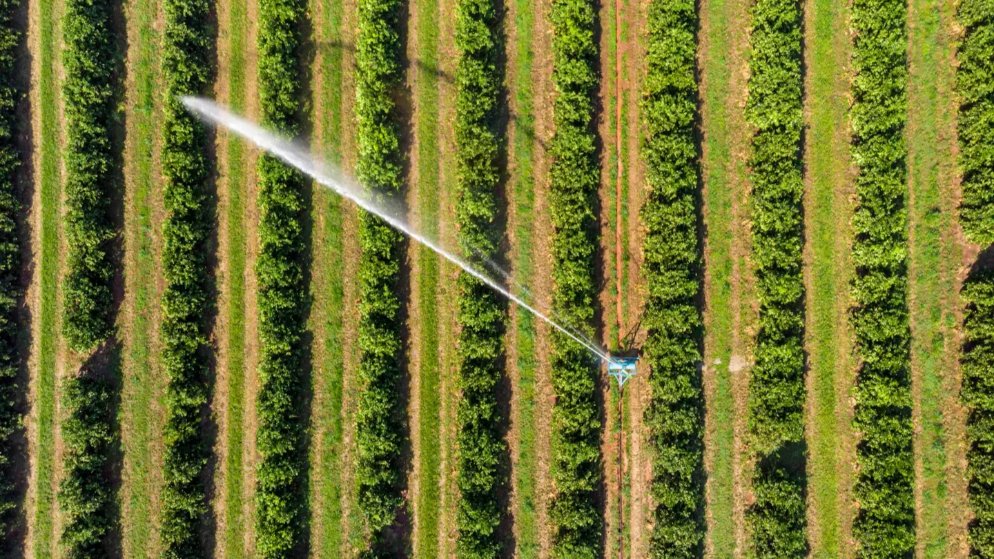 Aerial view of agricultural fields being irrigated in parallel rows, representing water footprint management and resource efficiency