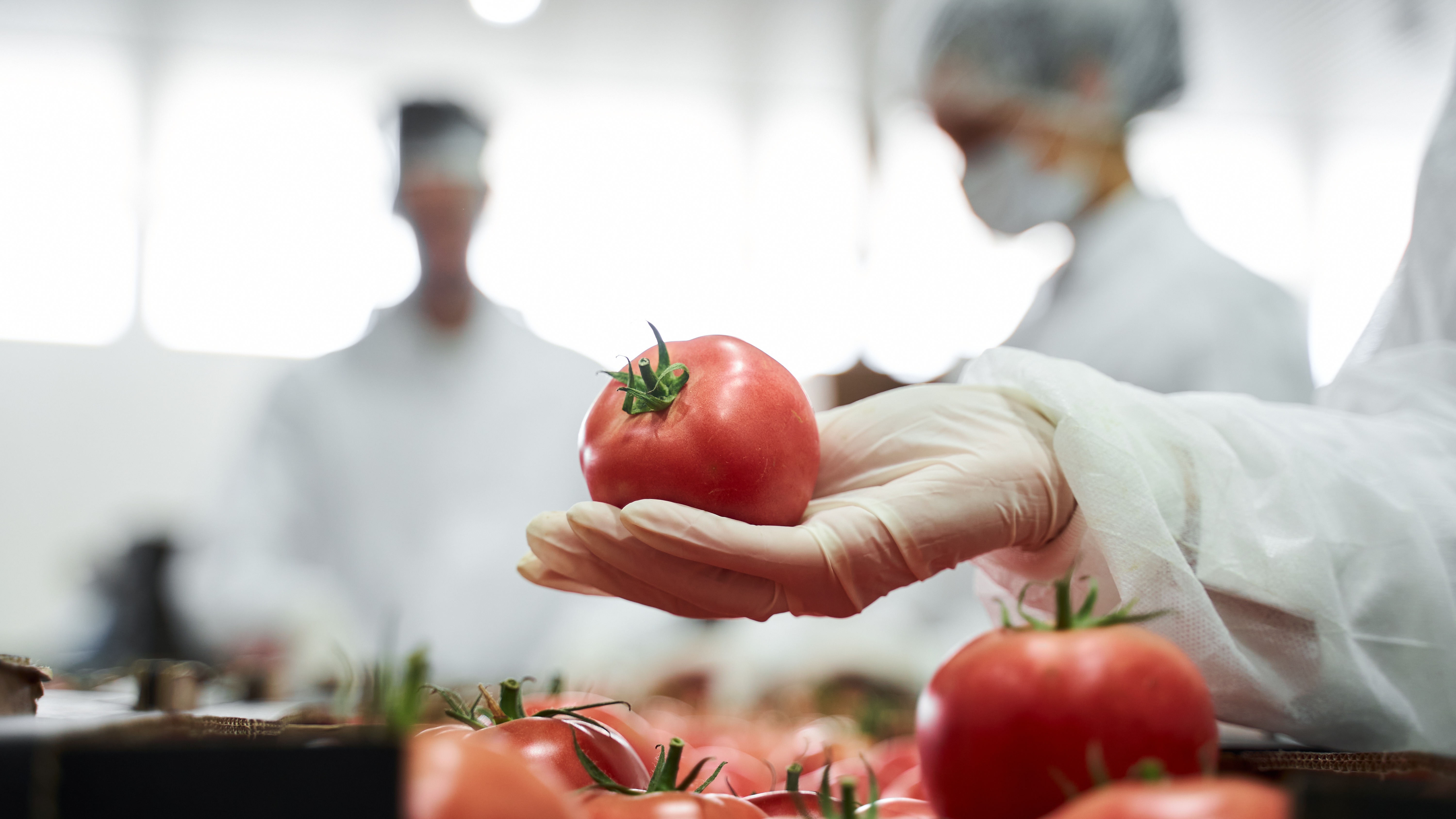 FSMA 204 gap analysis and assessment