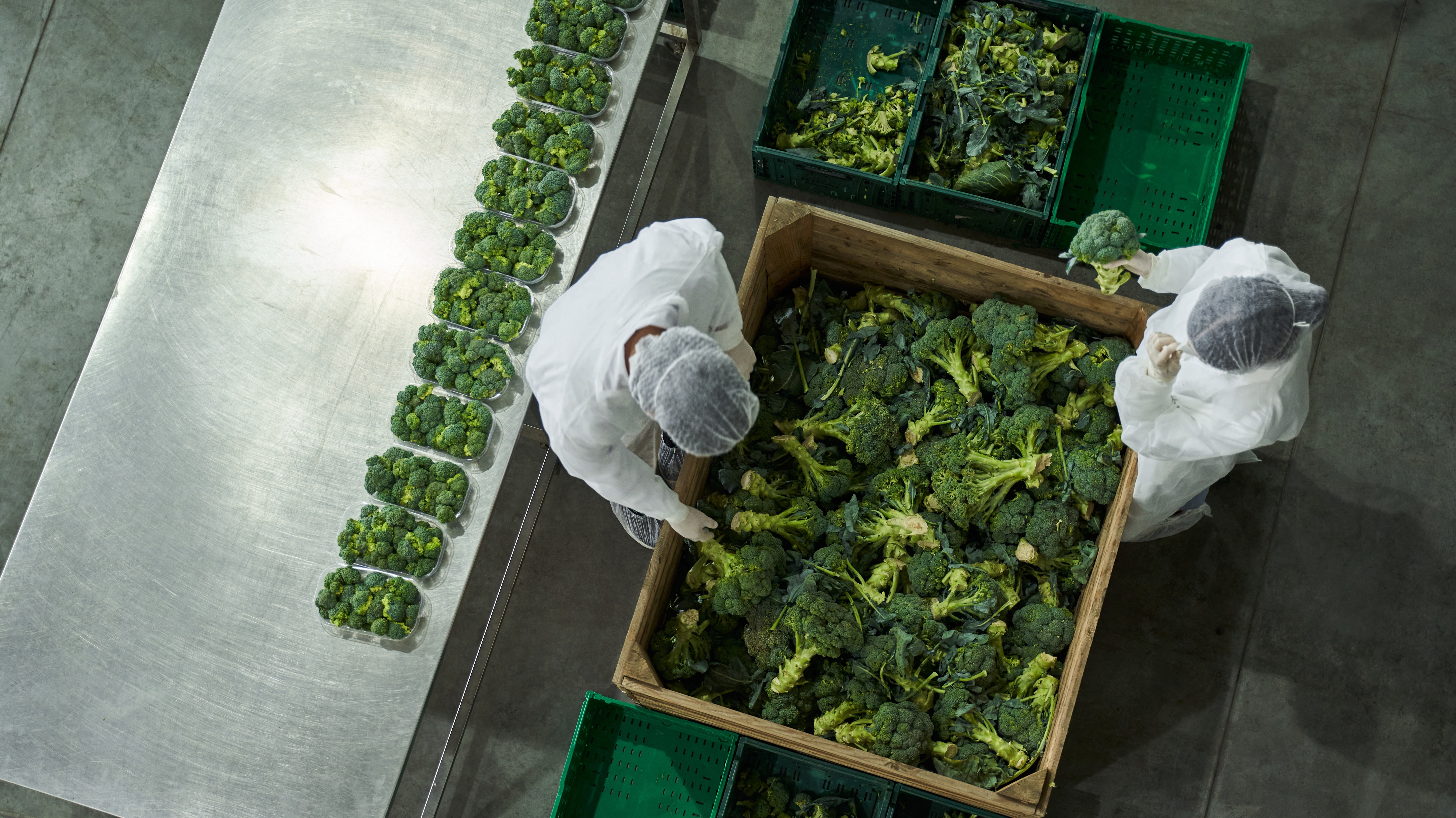 Two engineers examining crates of green produce in a facility, representing sustainable food supply chain decarbonization efforts
