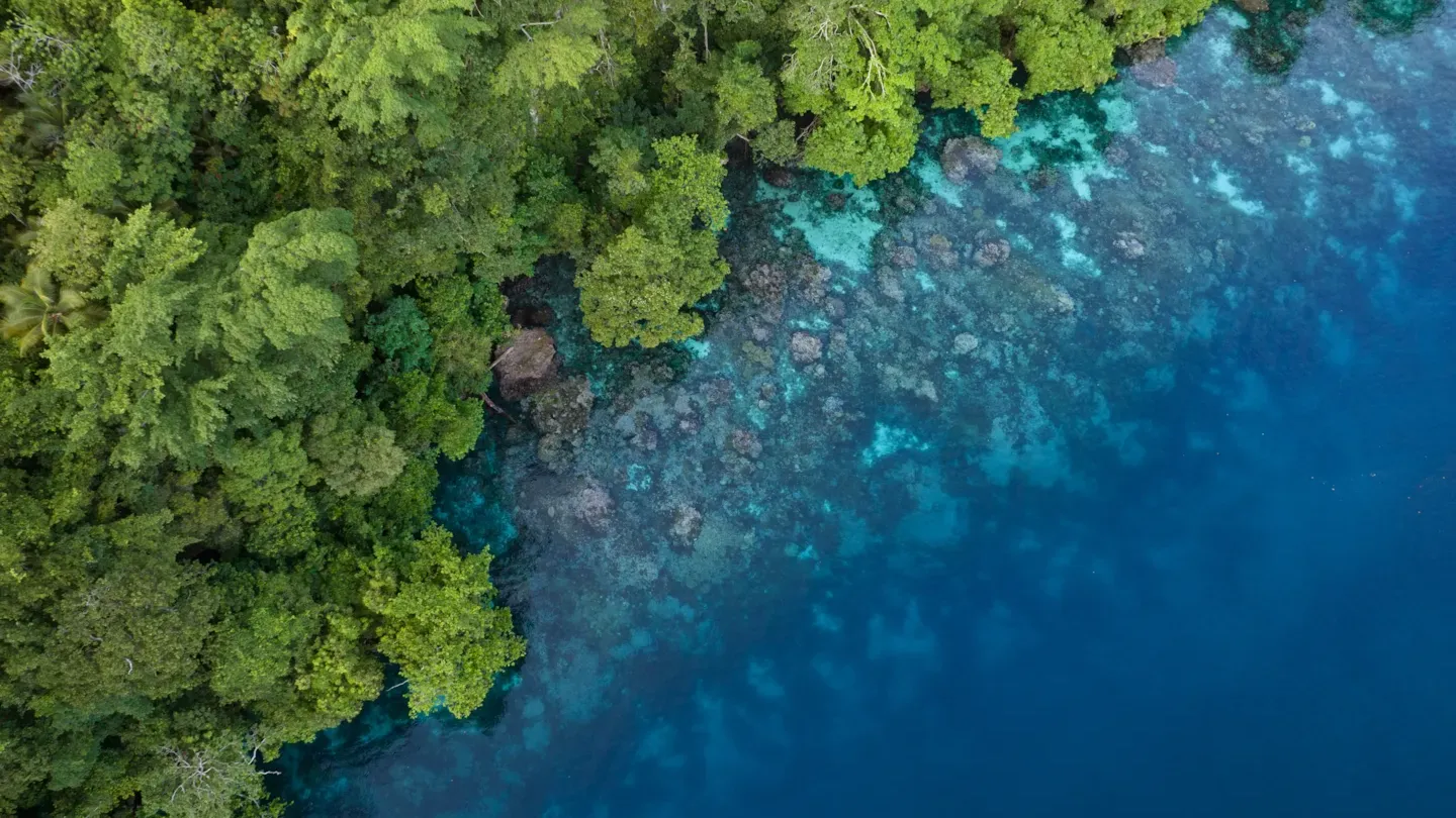 Aerial view of coastal forest meeting clear blue ocean waters, representing nature-related dependencies and biodiversity risk