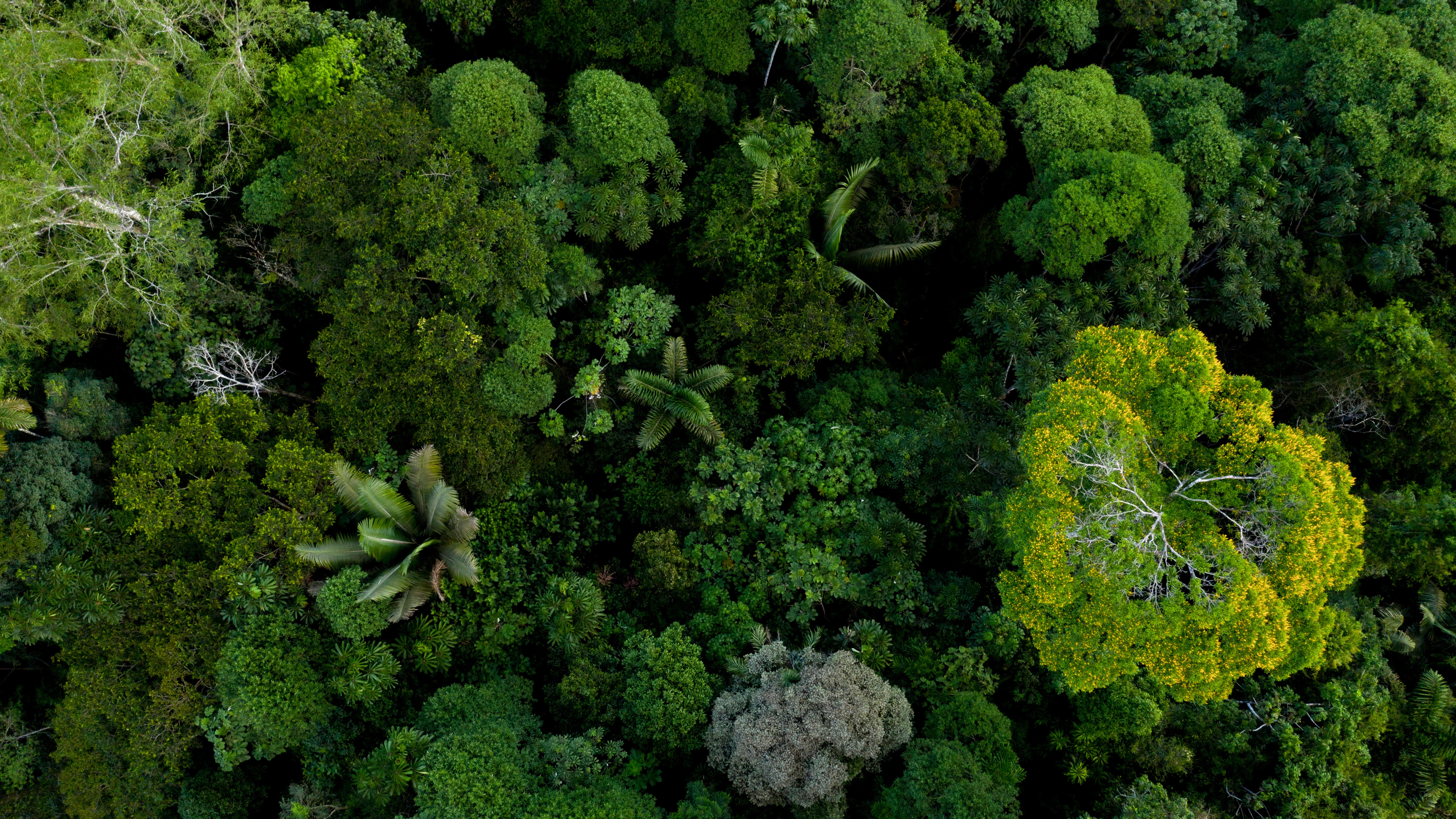 Climate change & carbon footprinting services