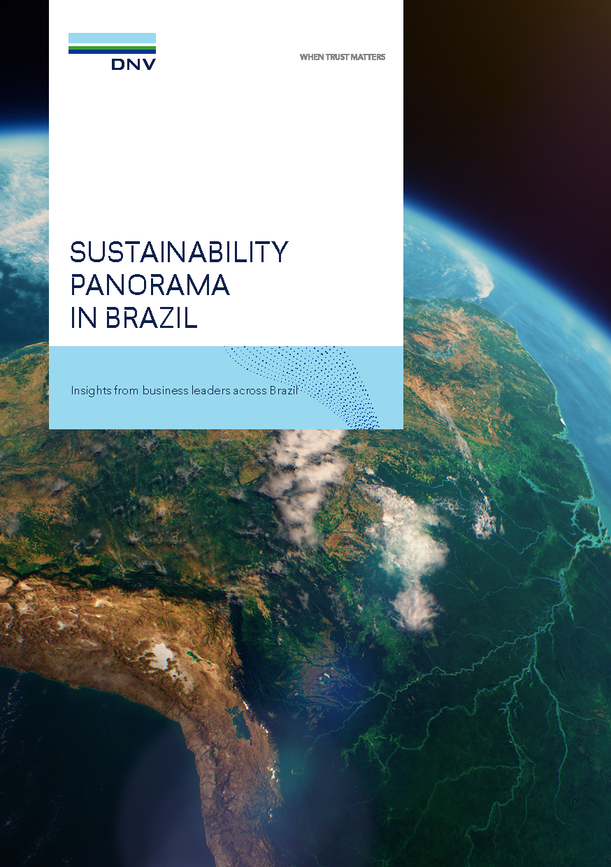 An overview of sustainability in Brazilian companies