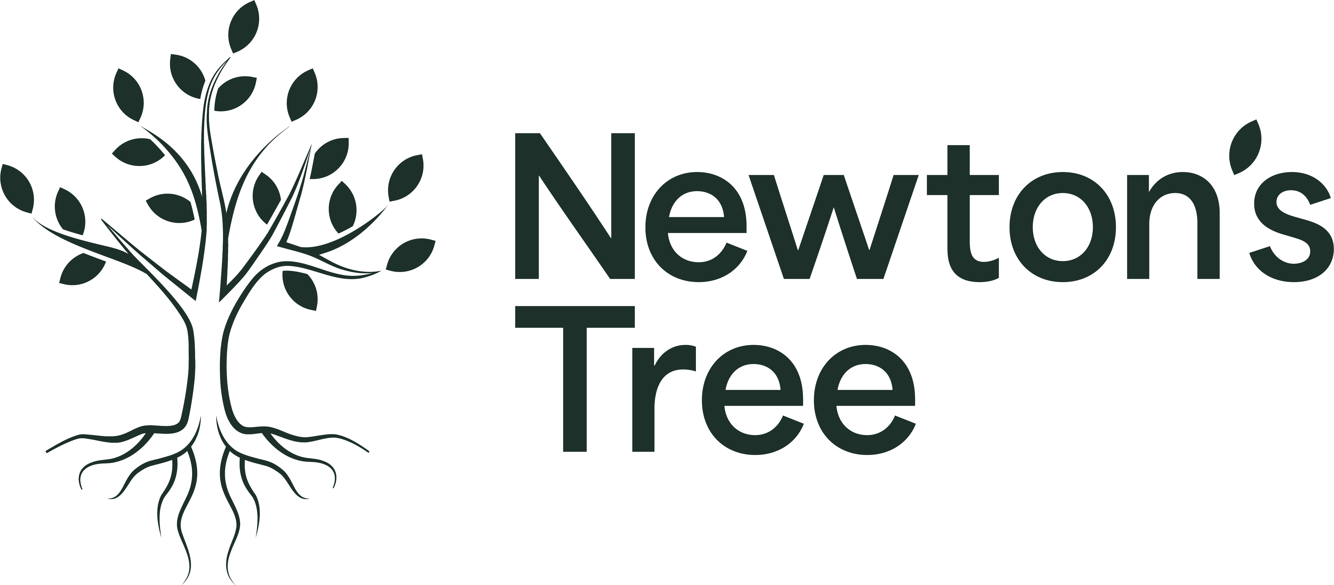 Newton's Tree logo evergreen