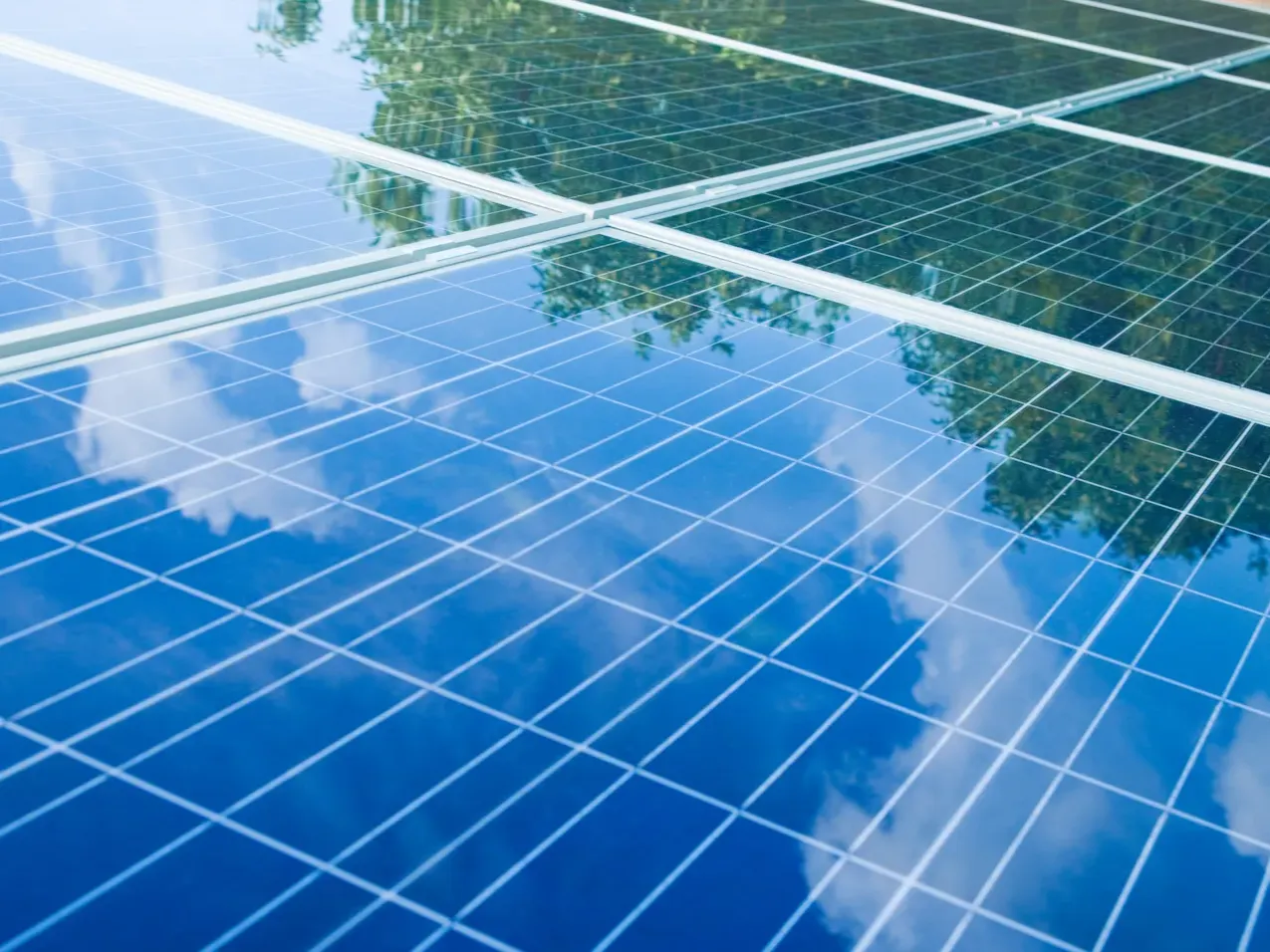 Solar panels surrounded by greenery, representing credible EU Green Bond verification for sustainable energy projects