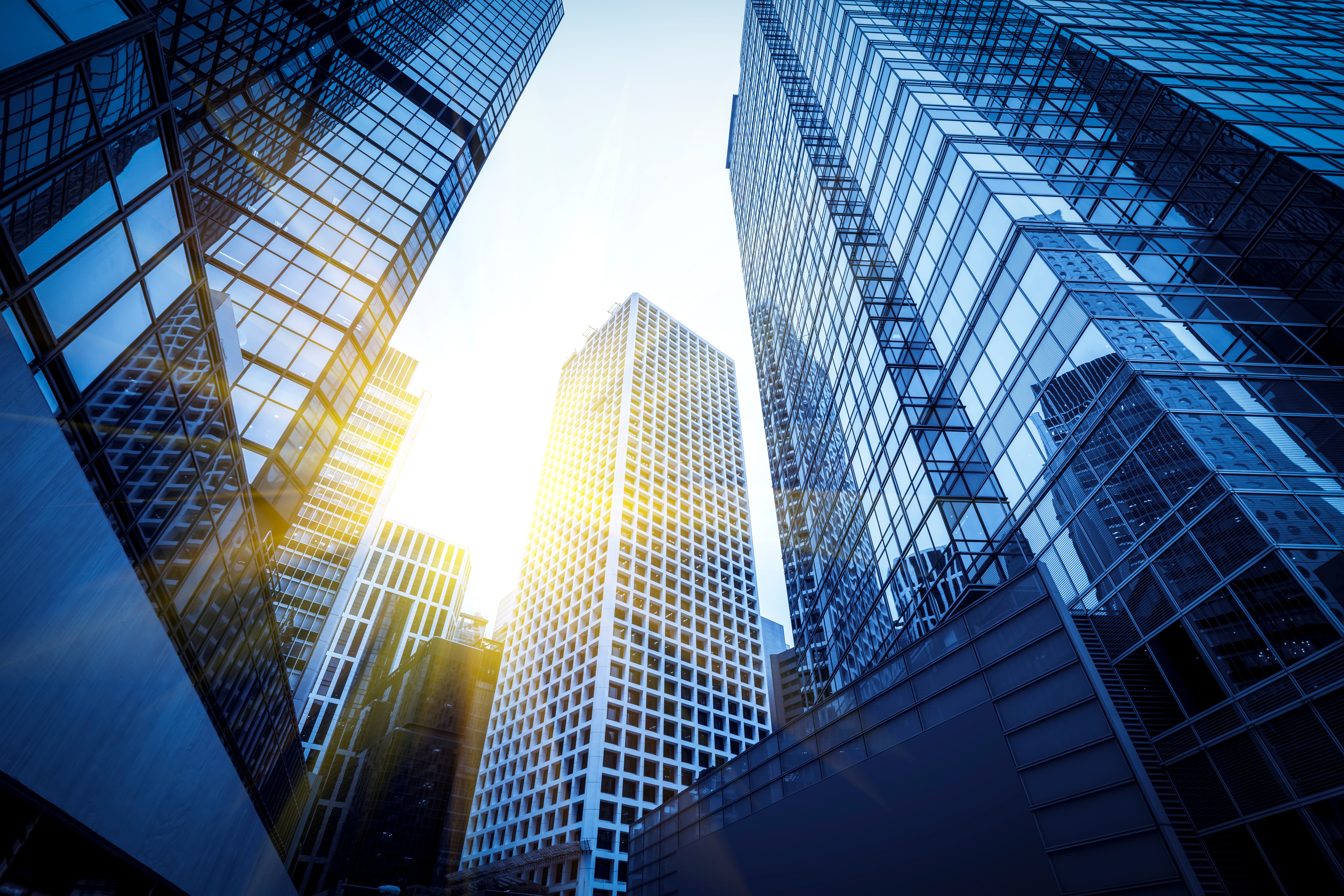 Second Party Opinions for sustainable finance