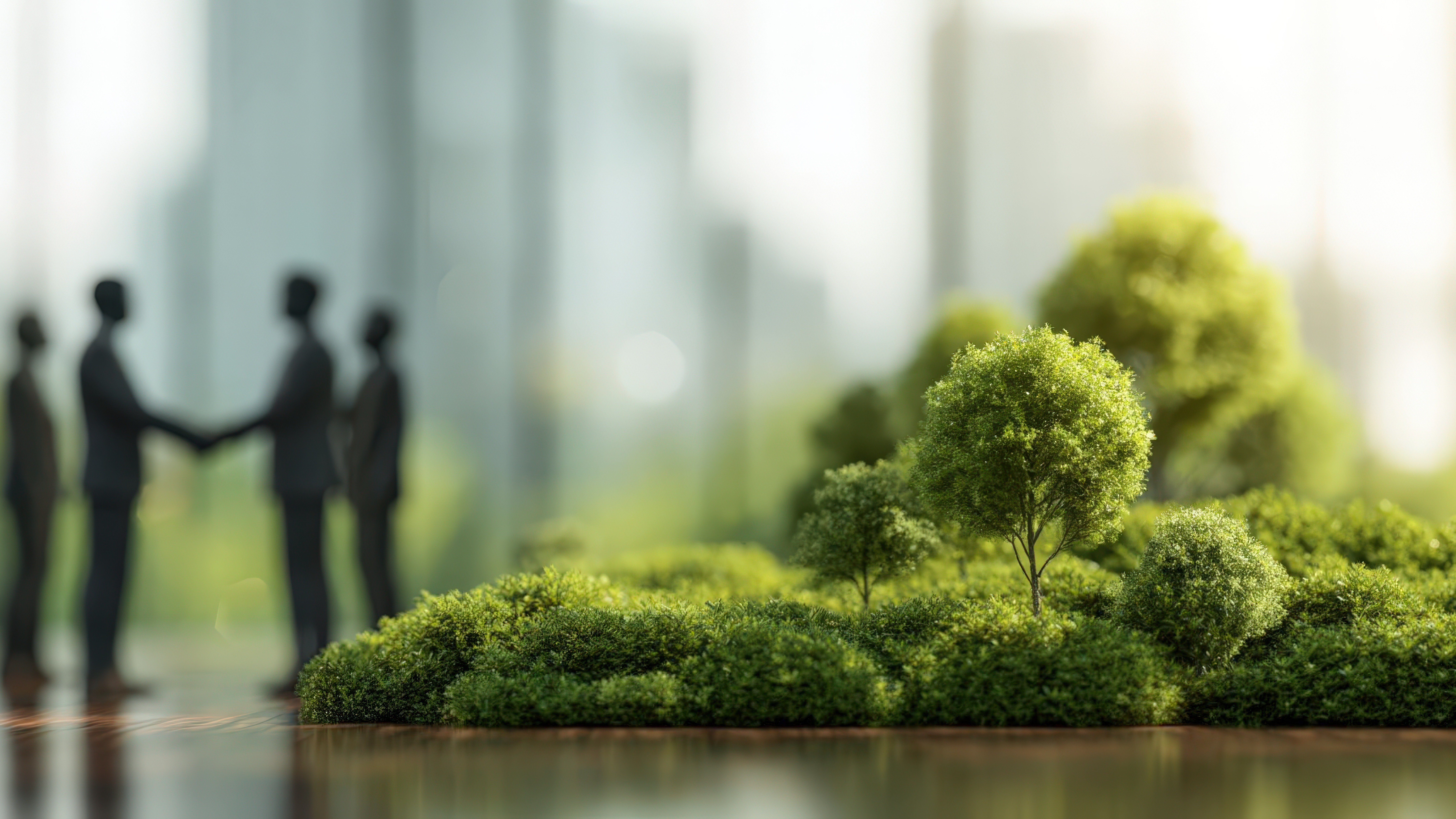 Sustainable finance advisory services