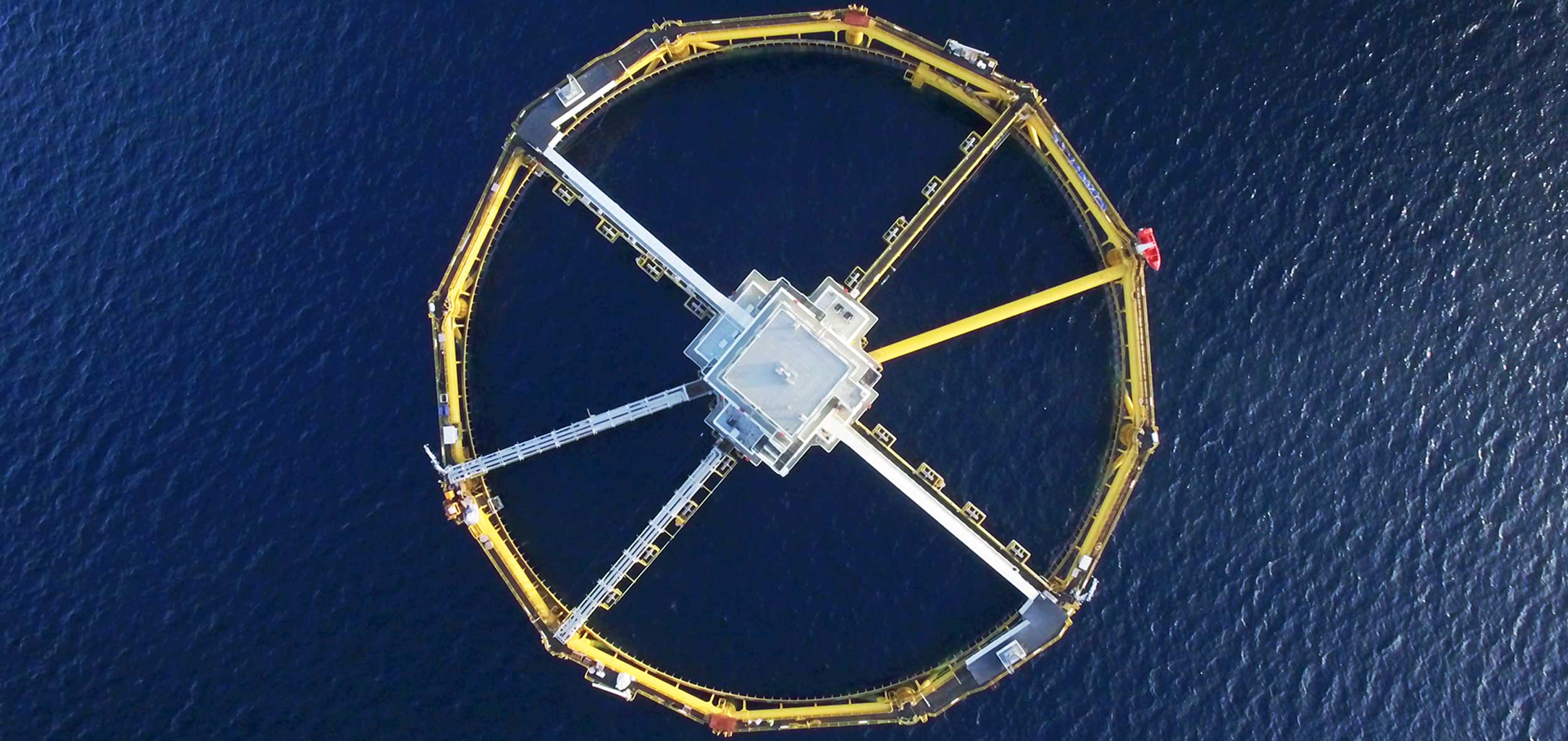 Marine Aquaculture Forecast