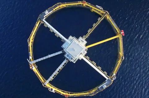 Marine Aquaculture Forecast