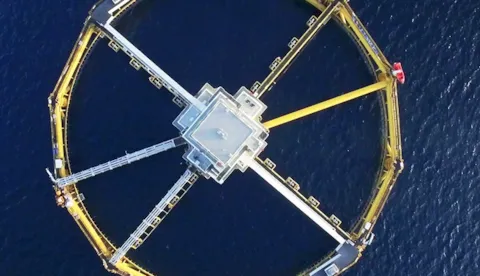 Surveyor on cruise ship