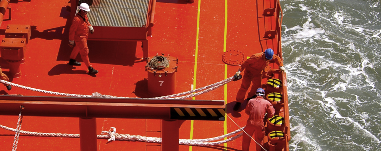 Safety Report Visual