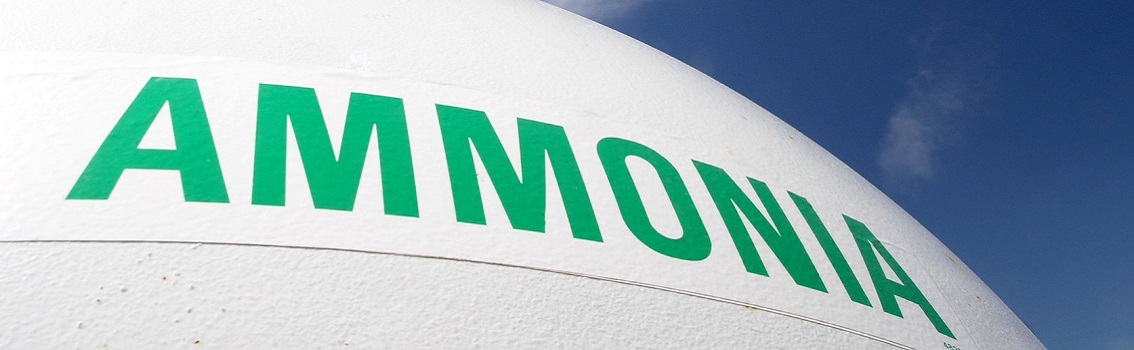 Maritime research program: Zero-Carbon fuels