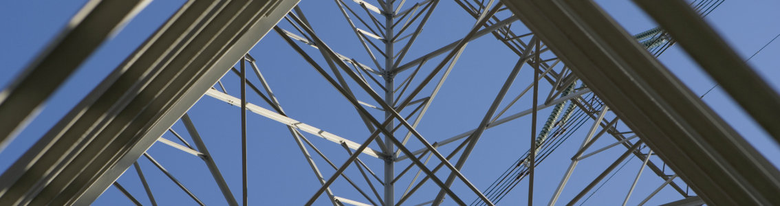 Market management systems