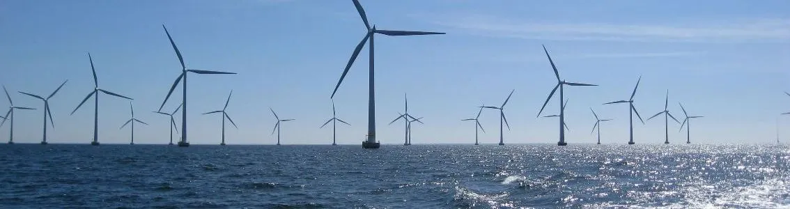 Load measurements on floating offshore wind turbines