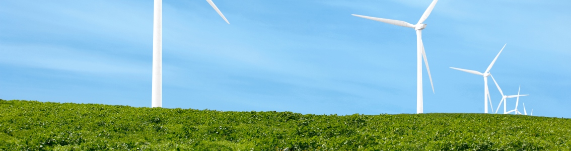 Workshop Uncertainty of the energy estimates of wind projects