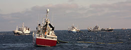 MSC Fisheries Standard
