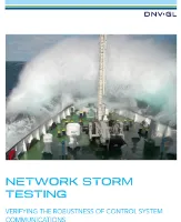 Network Storm Testing