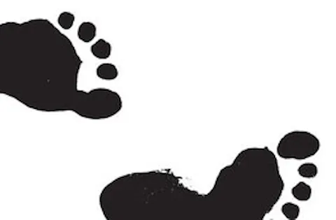 Download the brochure