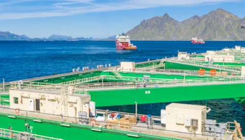 Dnv Marine News from DNV - 2020