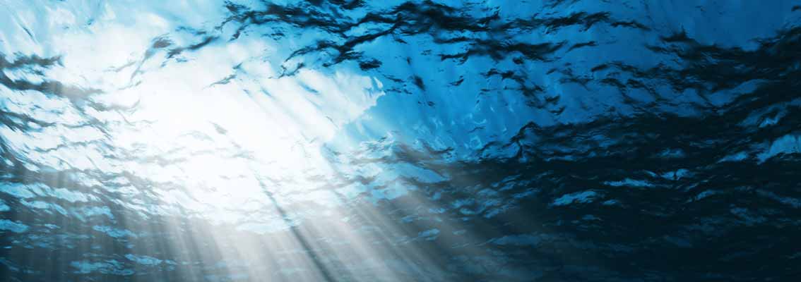 Ocean Ecology, a DNV company, acquires Shoreline Surveys to strengthen marine survey capabilities