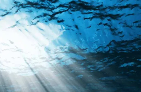 Ocean Ecology, a DNV company, acquires Shoreline Surveys to strengthen marine survey capabilities