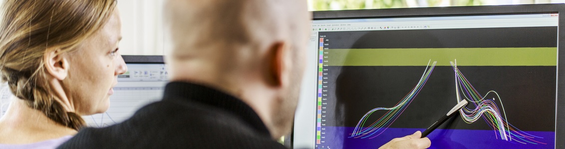 Offshore wind turbine TLP modeling