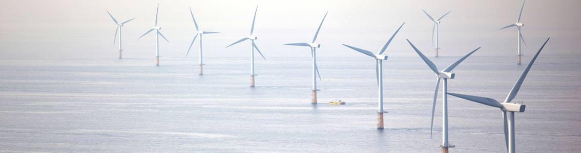 Optimum operations of wind power plants