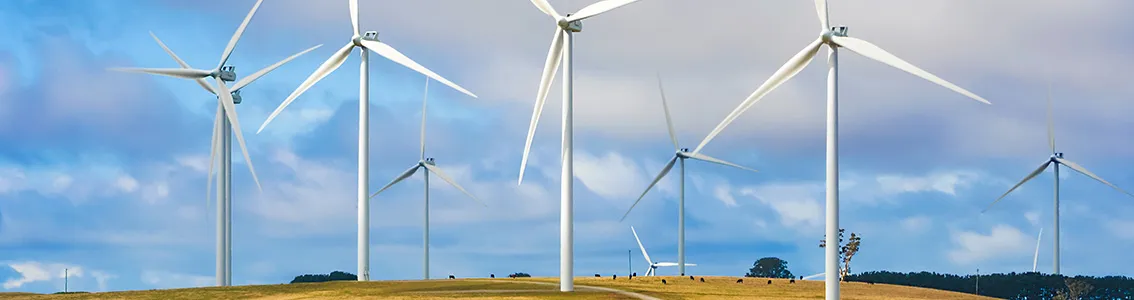 Modelling of wind farms and wind turbines