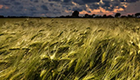 Condiciones en el emplazamiento para aerogeneradores