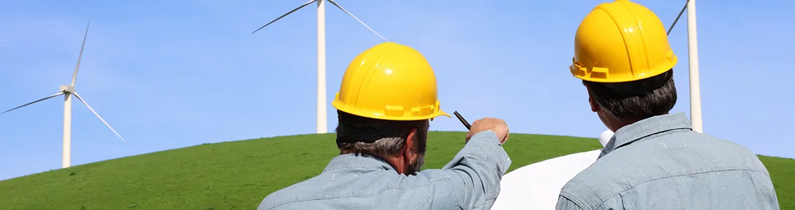 Wind farm engineering support