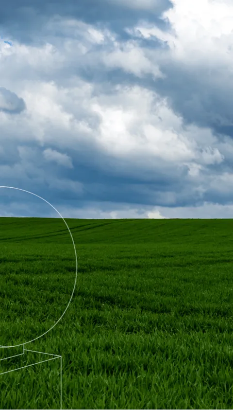 Software for fixed offshore wind