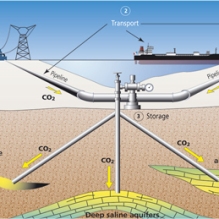 Plant - Carbon Capture and Storage (CCS) – Let’s make it happen - cgs