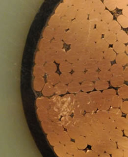 TenneT TSO, Project Nordlink