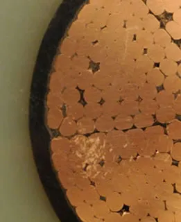 TenneT TSO, Project Nordlink