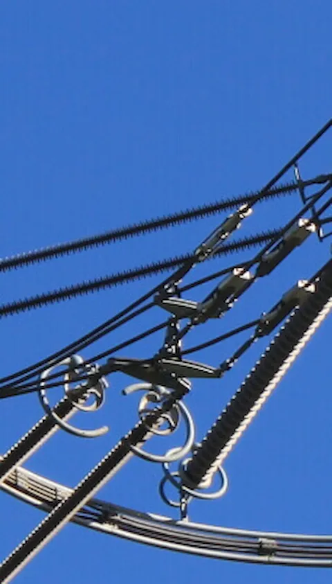 Statements for power grids