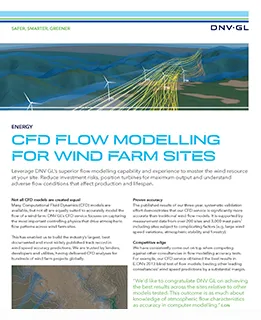 Computational fluid dynamics flyer