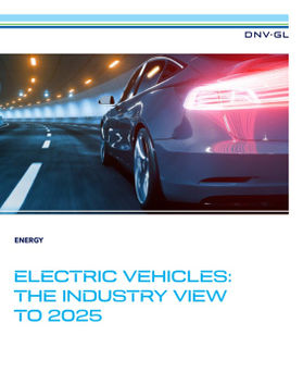 Electric Vehicles - the industry view to 2025