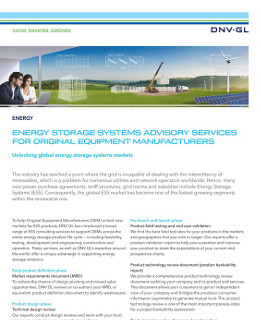 Energy storage systems advisory services for original equipment manufacturers
