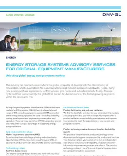 Energy storage systems advisory services for original equipment manufacturers