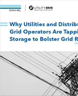 Tapping storage to bolster grid resilience