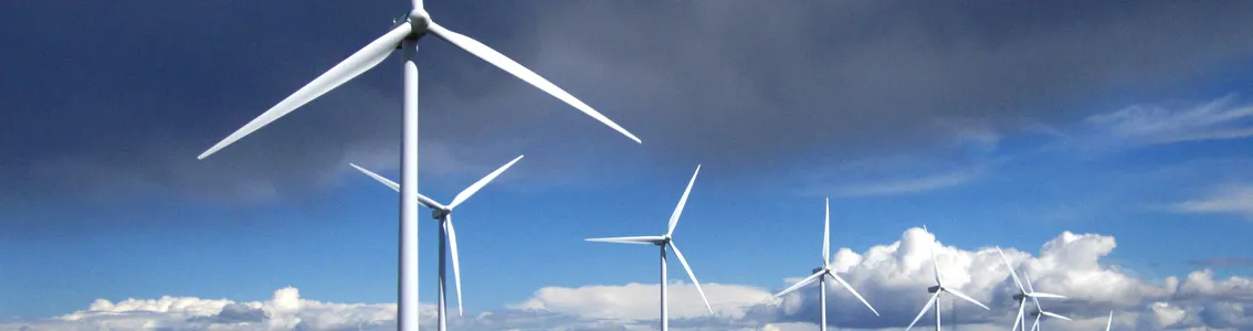 Certification service for lightning protection of wind turbine