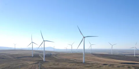 Wind resource assessment software for wind farm development - WindFarmer: Analyst